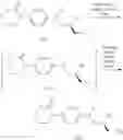Fig. 32 - Process for the preparation of rivaroxaban