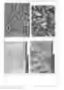 Fig. 11 - Anhydrous crystalline free base form of 6-{2-[1 -(6-methyl-3-pyridazinyl)-4-piperidinyl]ethoxy}-3-ethoxy-1,2-benzisoxazole