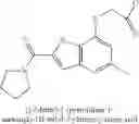 Fig. 28 - Indole amide compound as inhibitor of necrosis