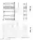 Fig. 02 - Selective Grp94 inhibitors and uses thereof
