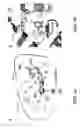 Fig. 06 - Selective Grp94 inhibitors and uses thereof