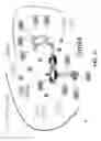 Fig. 07 - Selective Grp94 inhibitors and uses thereof