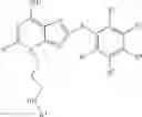 Fig. 263 - Selective Grp94 inhibitors and uses thereof