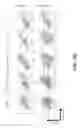 Fig. 34 - Selective Grp94 inhibitors and uses thereof