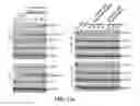 Fig. 35 - Selective Grp94 inhibitors and uses thereof
