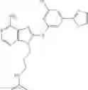 Fig. 359 - Selective Grp94 inhibitors and uses thereof
