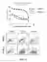 Fig. 37 - Selective Grp94 inhibitors and uses thereof