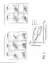 Fig. 42 - Selective Grp94 inhibitors and uses thereof