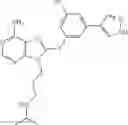 Fig. 457 - Selective Grp94 inhibitors and uses thereof