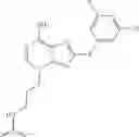 Fig. 507 - Selective Grp94 inhibitors and uses thereof