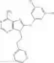 Fig. 509 - Selective Grp94 inhibitors and uses thereof