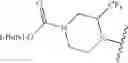 Fig. 303 - Piperazine-substituted [1,2,4]triazolo[1,5-C]quinazolin-5-amine compounds with Aantagonist properties