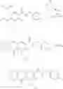 Fig. 40 - POLYCYCLIC-CARBAMOYLPYRIDONE COMPOUNDS AND THEIR PHARMACEUTICAL USE