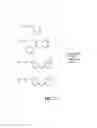 Fig. 23 - Arginase inhibitors and methods of use