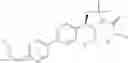 Fig. 125 - Phenicol antibacterials