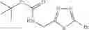 Fig. 18 - Phenicol antibacterials