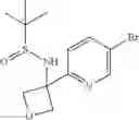 Fig. 200 - Phenicol antibacterials