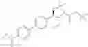 Fig. 205 - Phenicol antibacterials