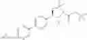 Fig. 206 - Phenicol antibacterials