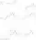 Fig. 263 - Phenicol antibacterials
