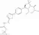 Fig. 302 - Phenicol antibacterials