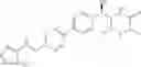 Fig. 317 - Phenicol antibacterials