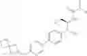 Fig. 334 - Phenicol antibacterials