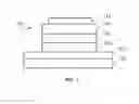 Fig. 02 - Pyridine-oxyphenyl coordinated iridium (III) complexes and methods of making and using