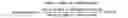 Fig. 03 - Platinum (II) compound, preparation method therefor, and pharmaceutical composition and application thereof