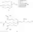 Fig. 265 - Compositions and methods for modulating angiopoietin-like 3 expression