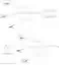 Fig. 273 - Compositions and methods for modulating angiopoietin-like 3 expression