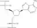 Fig. 281 - Compositions and methods for modulating angiopoietin-like 3 expression