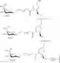 Fig. 340 - Compositions and methods for modulating angiopoietin-like 3 expression