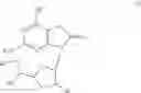 Fig. 08 - 3-substituted 5-amino-6H-thiazolo[4,5-D]pyrimidine-2,7-dione compounds for the treatment and prophylaxis of virus infection