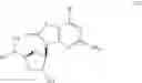 Fig. 19 - 3-substituted 5-amino-6H-thiazolo[4,5-D]pyrimidine-2,7-dione compounds for the treatment and prophylaxis of virus infection
