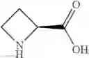 Fig. 101 - NPR-B agonists