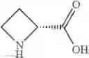 Fig. 102 - NPR-B agonists