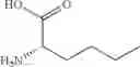 Fig. 179 - NPR-B agonists