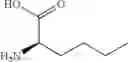 Fig. 180 - NPR-B agonists
