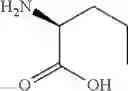 Fig. 192 - NPR-B agonists