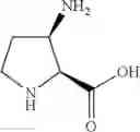Fig. 206 - NPR-B agonists