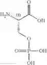 Fig. 216 - NPR-B agonists