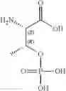 Fig. 217 - NPR-B agonists