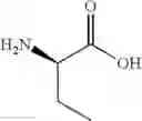 Fig. 85 - NPR-B agonists