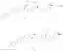 Fig. 614 - LINEAR PEPTIDE ANTIBIOTCS