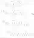 Fig. 652 - LINEAR PEPTIDE ANTIBIOTCS