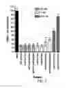 Fig. 05 - PEPTIDE-BASED QUORUM SENSING INHIBITORS FOR THE ATTENUATION OF VIRULENCE IN STAPHYLOCOCCUS AUREUS