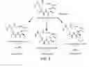 Fig. 07 - PEPTIDE-BASED QUORUM SENSING INHIBITORS FOR THE ATTENUATION OF VIRULENCE IN STAPHYLOCOCCUS AUREUS