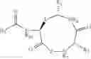 Fig. 08 - PEPTIDE-BASED QUORUM SENSING INHIBITORS FOR THE ATTENUATION OF VIRULENCE IN STAPHYLOCOCCUS AUREUS