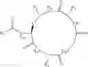Fig. 11 - PEPTIDE-BASED QUORUM SENSING INHIBITORS FOR THE ATTENUATION OF VIRULENCE IN STAPHYLOCOCCUS AUREUS